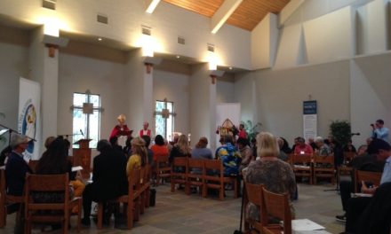 Diocesan Synod on the Family in San Diego: A Time for Discussion, Discernment, Direction