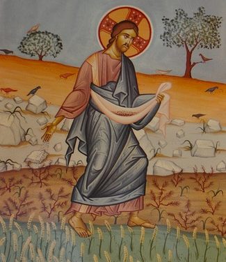Seeds of Eternal Life in the Soil of Ordinary Time