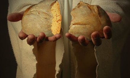 The Life is the Person is the Food  – 18th Sunday in Ordinary Time