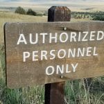Fourth Sunday in Ordinary Time: Searching for Authority