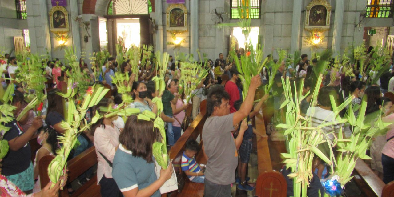 Palm Sunday: What is it we try to grasp?