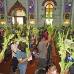 Palm Sunday: What is it we try to grasp?